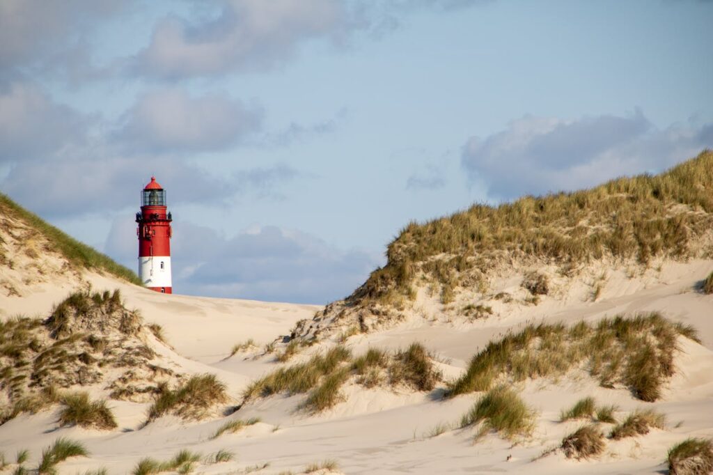 Dünen auf Amrum