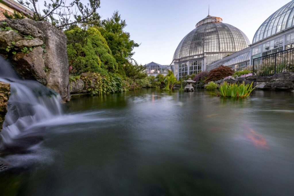 Botanischer Garten München