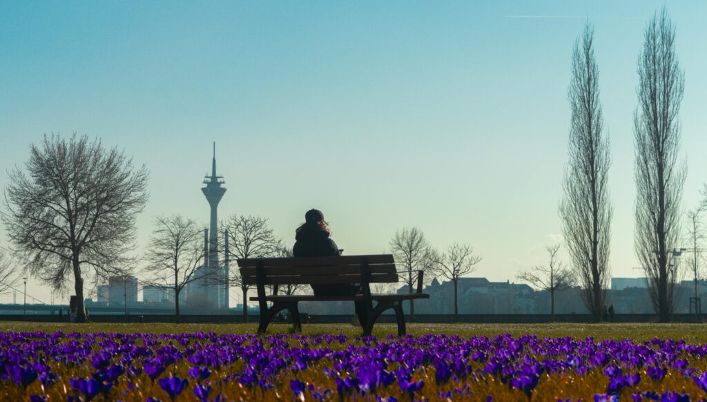 Rheinturm und Park