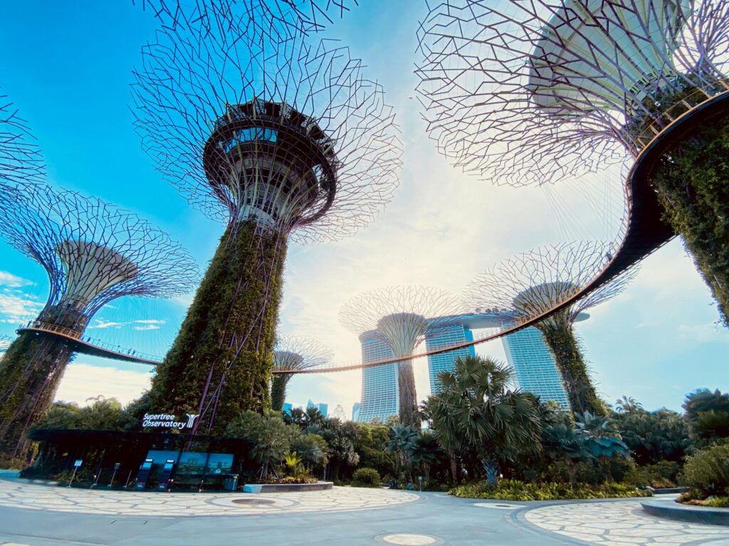 Supertrees in Gardens by the Bay_Singapur